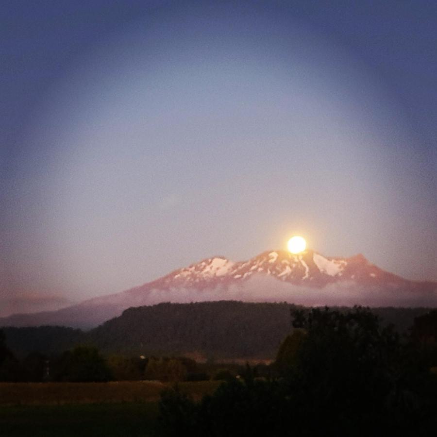 Beech Tree Lodge Ohakune Extérieur photo