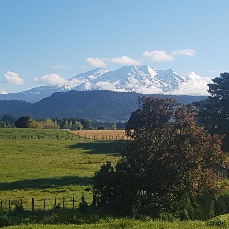 Beech Tree Lodge Ohakune Extérieur photo
