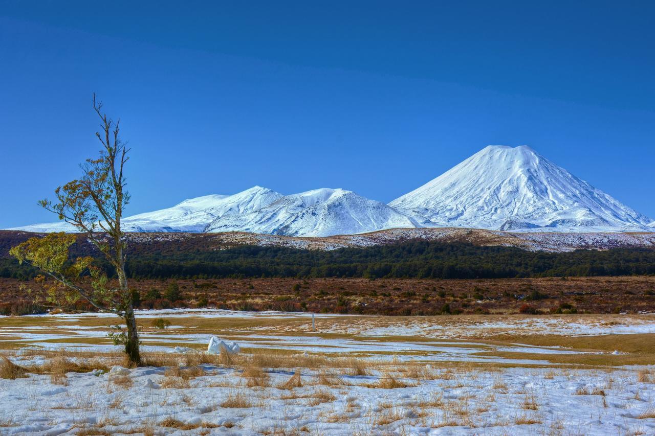 Beech Tree Lodge Ohakune Extérieur photo